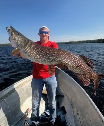 45 inch Northern Pike caught at North Spirit Lake Lodge, July 2026